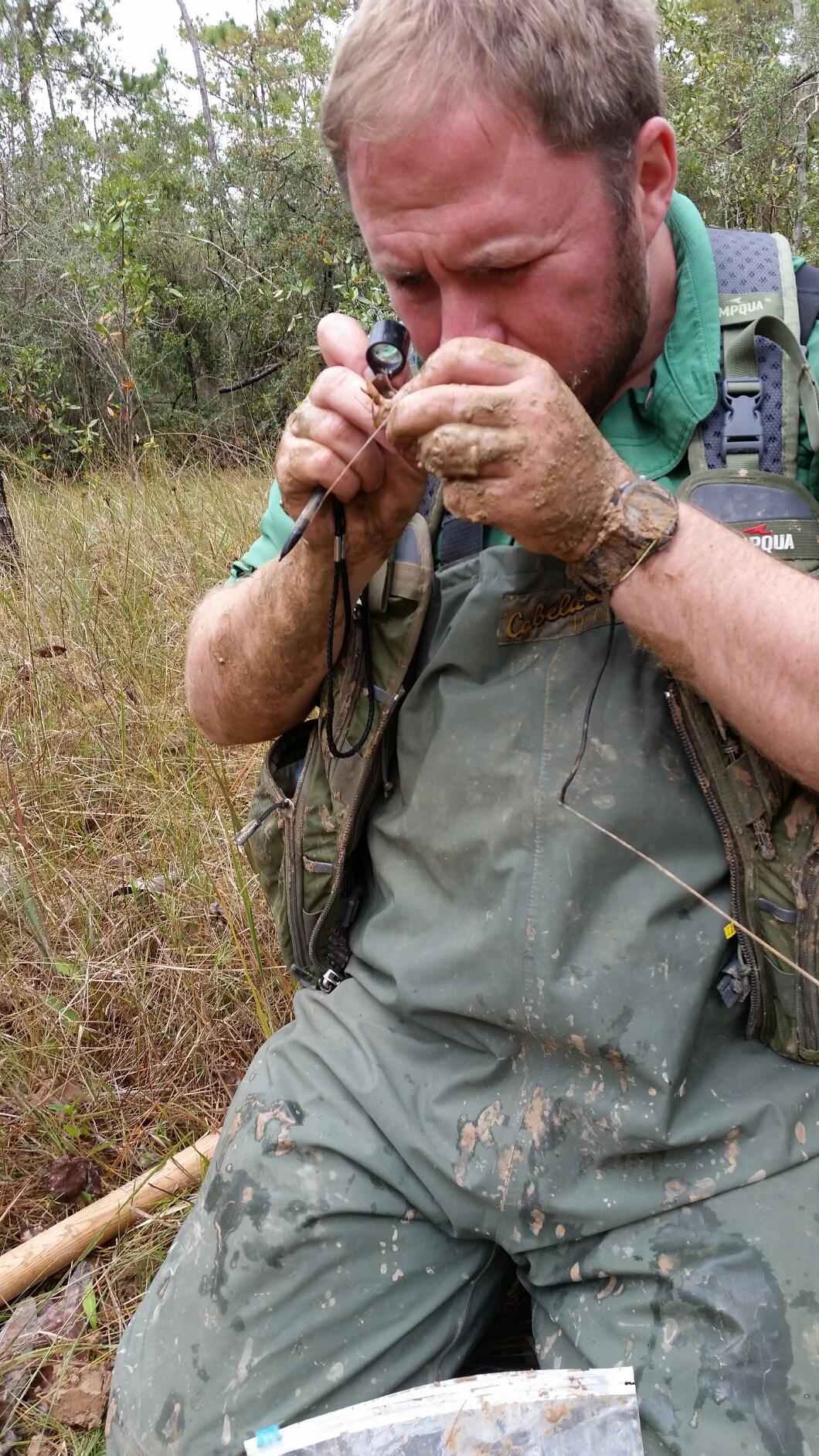 Researcher Zachary Loughman examining crayfish field material.